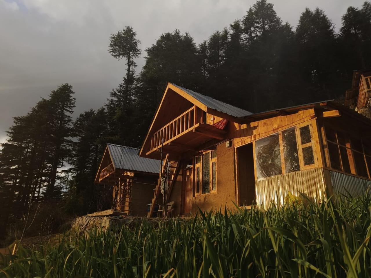 Deep In Woods Villa Jibhi Ngoại thất bức ảnh