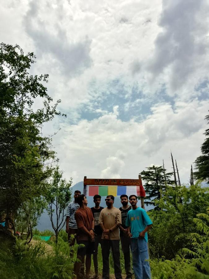 Deep In Woods Villa Jibhi Ngoại thất bức ảnh